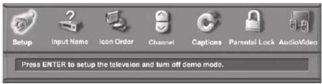 Setup Input Name Icon Order Channel Captions Parental Lock AudioVideo Press ENTER to setup the television and turn off demo mode.