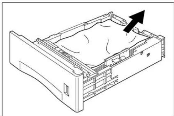 TALLYGENICOM Intelliprint mL260 - Clearing an E2 Paper Jam - 2