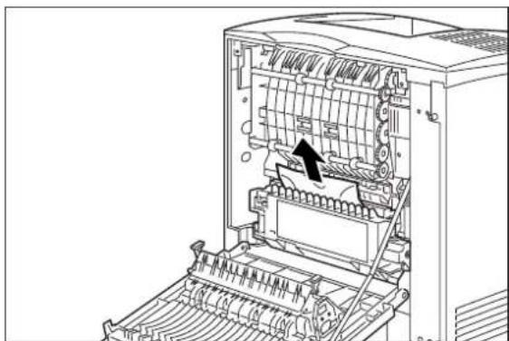 TALLYGENICOM Intelliprint mL260 - Clearing an E4 Jam - 3