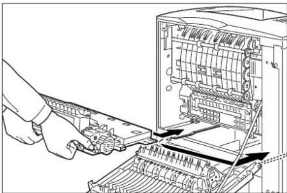 TALLYGENICOM Intelliprint mL260 - Clearing an E4 Jam - 7