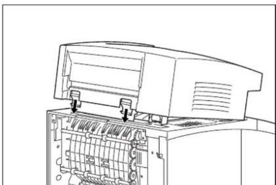 TALLYGENICOM Intelliprint mL260 - Installing the Offset Catch Tray - 5