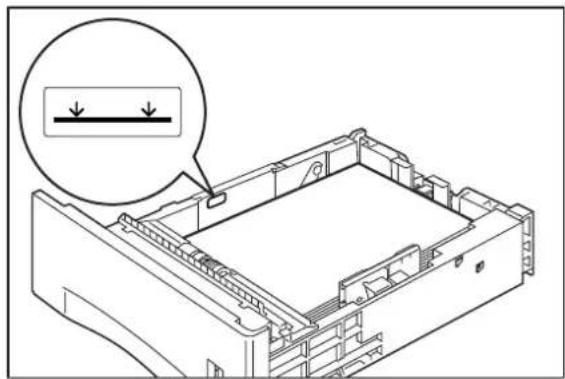 TALLYGENICOM Intelliprint mL260 - 7-14 TallyGenicom Intelliprint mL260 User Guide Loading Print Media - 1