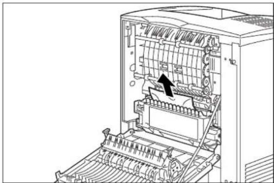 TALLYGENICOM Intelliprint mL260 - Clearing an E7 Paper Jam - 3