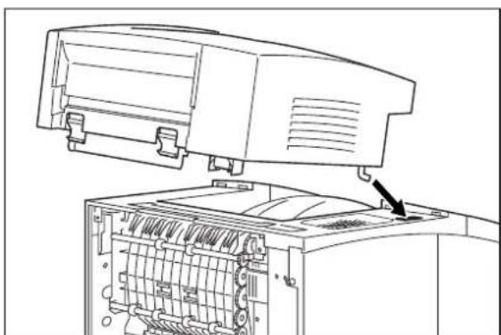 TALLYGENICOM Intelliprint mL260 - Installing the Offset Catch Tray - 4