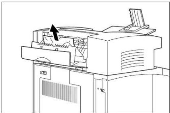 TALLYGENICOM Intelliprint mL260 - Clearing an Offset Catch Tray Paper Jam - 2