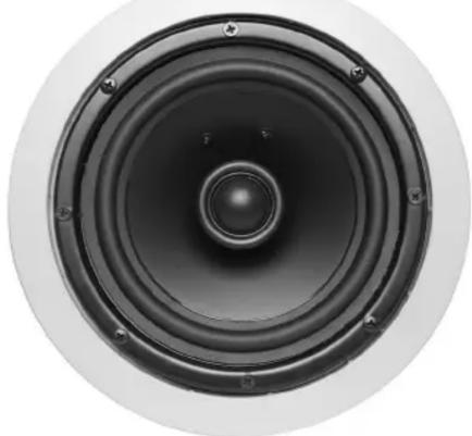 Close-up of a black speaker cone with concentric rings and mounting holes (no text or symbols visible)