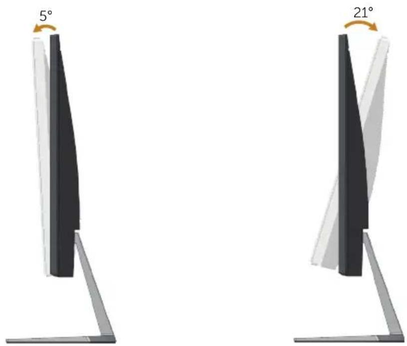 5° 21°