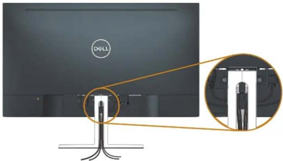 DXELL