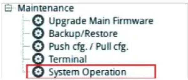 Maintenance Upgrade Main Firmware Backup/Restore Push cfg. / Pull cfg. Terminal System Operation