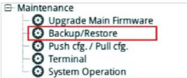 Maintenance Upgrade Main Firmware Backup/Restore Push cfg. / Pull cfg. Terminal System Operation