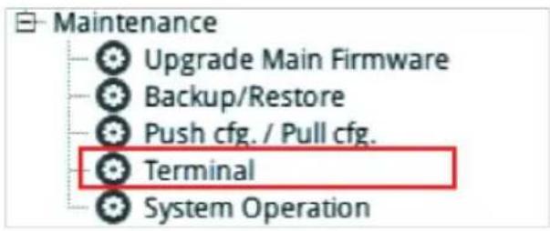 Maintenance Upgrade Main Firmware Backup/Restore Push cfg. / Pull cfg. Terminal System Operation