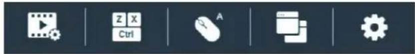 Screenshot of a software toolbar with icons for play, edit, mouse, printer, and gear
