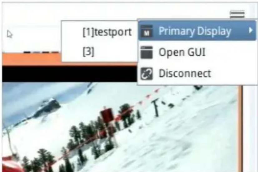 [1]testport [3] Primary Display Open GUI Disconnect