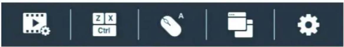 Screenshot of a software toolbar with icons for video, keyboard, mouse, printer, and gear