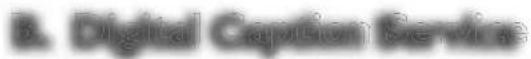 MAGNAVOX 40MF430B - Closed Caption - 4
