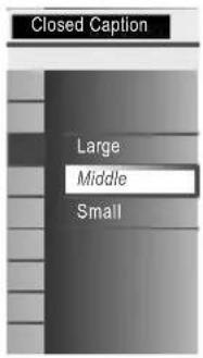 MAGNAVOX 40MF430B - Background Color - 2