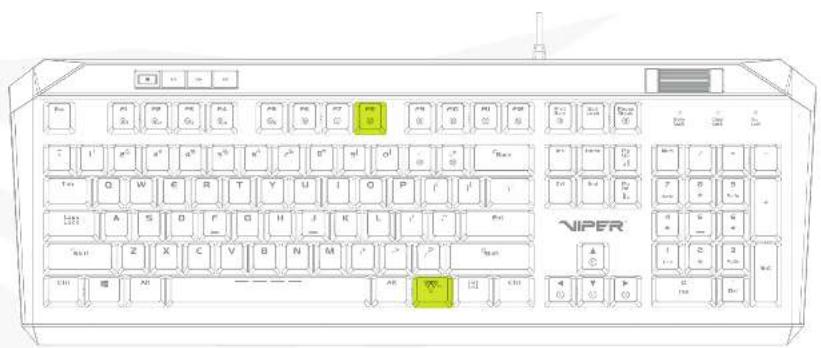 Viper V765 - RIPPLE MODE - 5