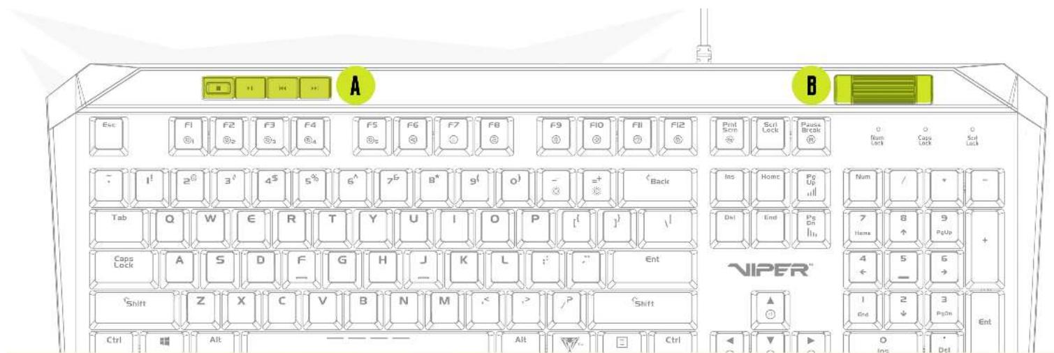 Viper V765 - SOFTWARE INSTALLATION - 2