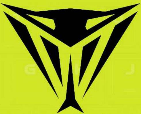 Viper V765 - CREATING AND SAVING USER PROFILES - 5