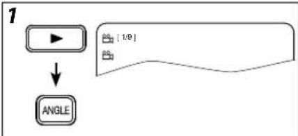 FUNAI DP100FX5 - Camera Angles - 2