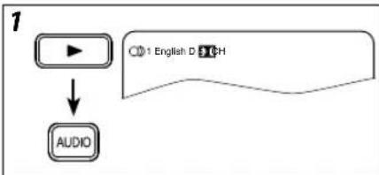 FUNAI DP100FX5 - Audio Language - 2