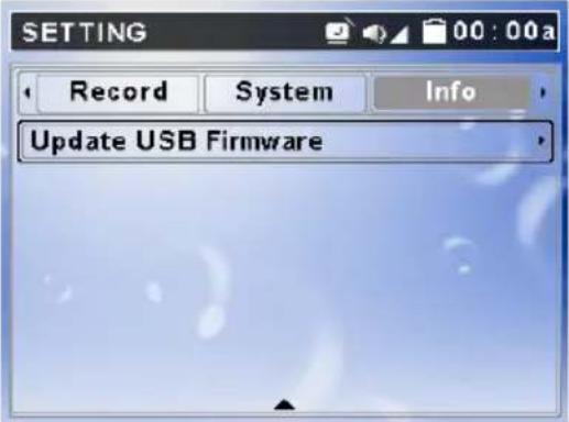 SETTING Record System Info Update USB Firmware