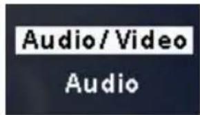 Audio/Video Audio