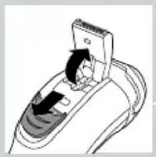 PHILIPS AquaTouch AT926 - Cleaning the trimmer with the cleaning brush - 1
