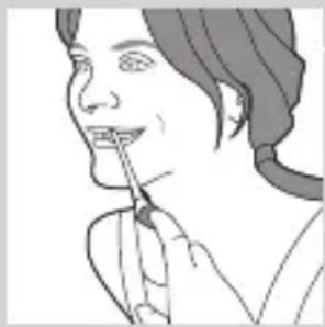 Line drawing of a person applying lip to their mouth (no text or symbols)
