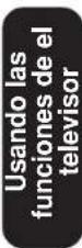 TOSHIBA TheaterWide 30HF66 - AVISO DE POSIBLES EFECTOS ADVERSOS EN EL TUBO DE IMÁGENES DE LA TELEVISOR - 1