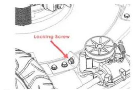 Locking Screw