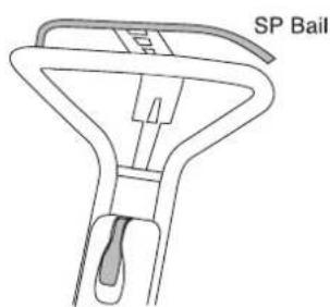 SP Bail