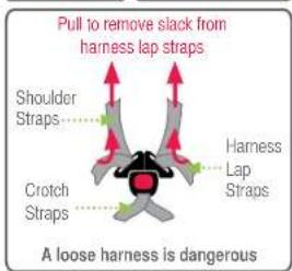 Pull to remove slack from harness lap straps Shoulder Straps Harness Lap Straps Crouch Straps A loose harness is dangerous