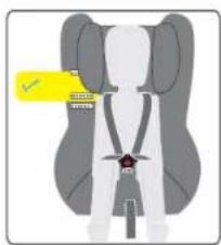 Diagram showing a person wearing a seatbelt with a yellow checkmark and a red star symbol, likely indicating safety or safety instructions.