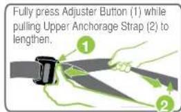Fully press Adjuster Button (1) while pulling Upper Anchorage Strap (2) to lengthen. ① ②