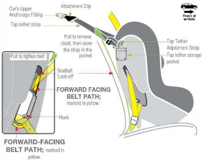 Car's Upper Anchorage Fitting Top tether strap Pull to tighten belt Scatbolt "Lock-off" Forward-facing BELT PATH; marked in yellow. Hook Forward-FACING BELT PATH; marked in yellow. Pull to remove slack, then store the strap in the pocket Attachment Clip Top Tether Adjustment Strap Top tether storage pocket Front of vehicle