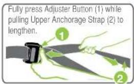 Fully press Adjuster Button (1) while pulling Upper Anchorage Strap (2) to lengthen.