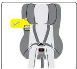 Diagram of a car seatbelt with a yellow checkmark indicating a specific seatbelt area.