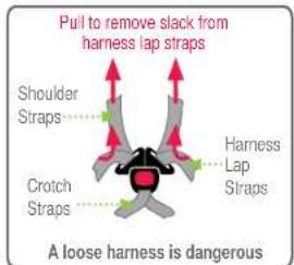 Pull to remove slack from harness lap straps Shoulder Straps Harness Lap Straps Crotch Straps A loose harness is dangerous