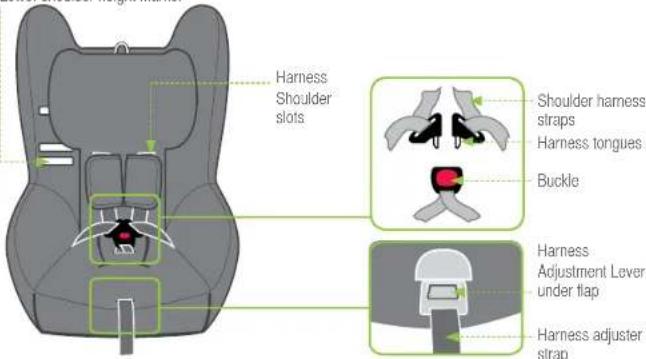 Harness Shoulder slots Shoulder harness straps Harness tongues Buckle Harness Adjustment Lever under flap Harness adjuster strap