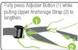 Fully press Adjuster Button (1) while pulling Upper Anchorage Strap (2) to lengthen.