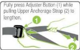 Fully press Adjuster Button (1) while pulling Upper Anchorage Strap (2) to lengthen.