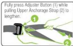 Fully press Adjuster Button (1) while pulling Upper Anchorage Strap (2) to lengthen.