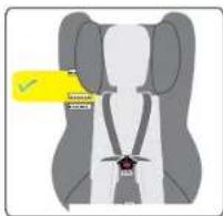 Diagram showing a car seatbelt with a yellow checkmark indicating a specific seatbelt location.