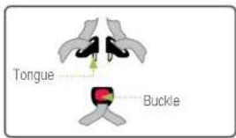 Tongue Buckle