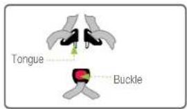 Tongue Buckle