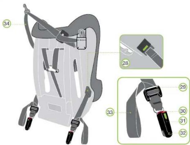 Diagram of a car seatbelt device with numbered parts and labeled connectors