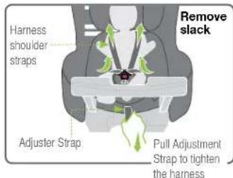 Remove slack Harness shoulder straps Adjuster Strap Pull Adjustment Strap to tighten the harness