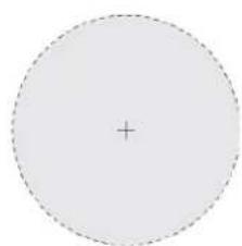 HONEYWELL HDZ30A - Package Contents - 3