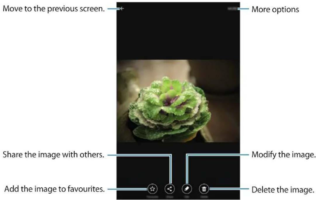 Move to the previous screen. More options Share the image with others. Modify the image. Add the image to favourites. Delete the image.